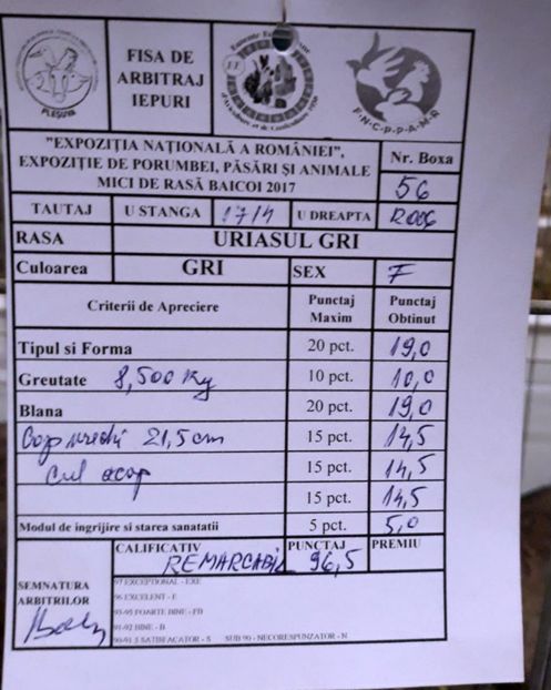 FISA F 2 UGG - EXPOZITIA NATIONALA BAICOI 01-03 12 2017