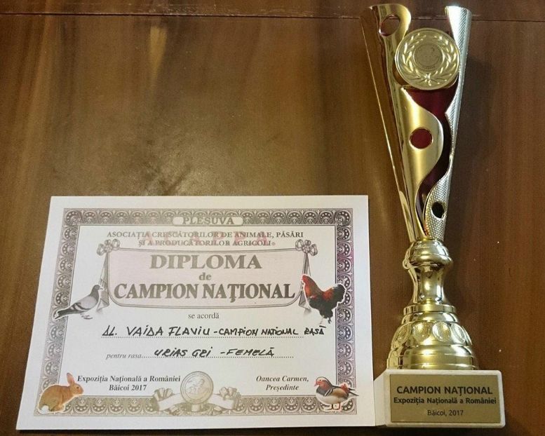 UGG - EXPOZITIA NATIONALA BAICOI 01-03 12 2017