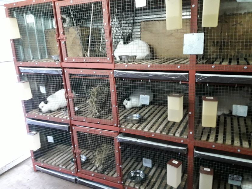  - ADAPOST - CALIFORNIAN