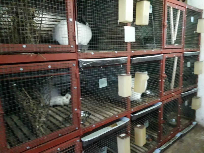  - ADAPOST - CALIFORNIAN