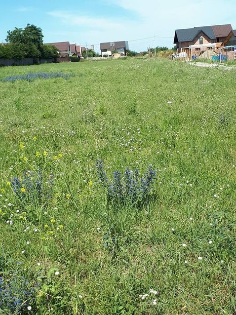 lot inchiriat - Analiza de sistem