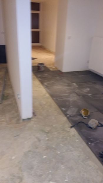  - Lucrari in Lyon 2018