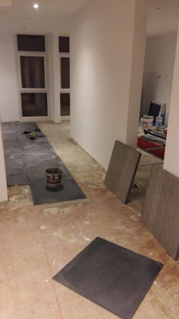  - Lucrari in Lyon 2018