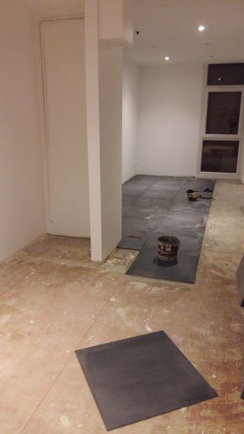  - Lucrari in Lyon 2018