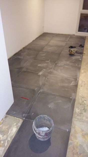  - Lucrari in Lyon 2018