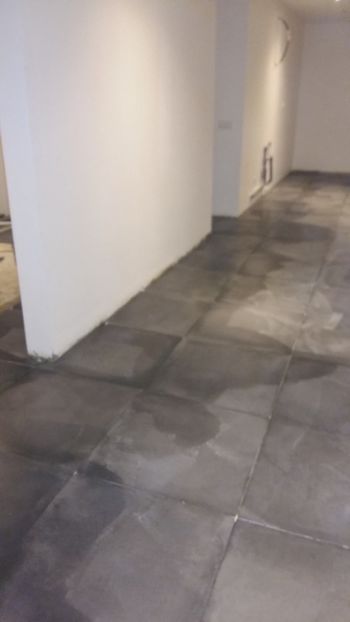  - Lucrari in Lyon 2018