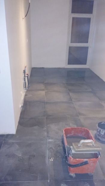  - Lucrari in Lyon 2018