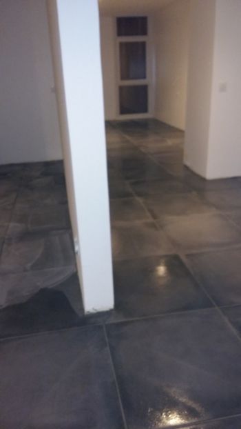  - Lucrari in Lyon 2018