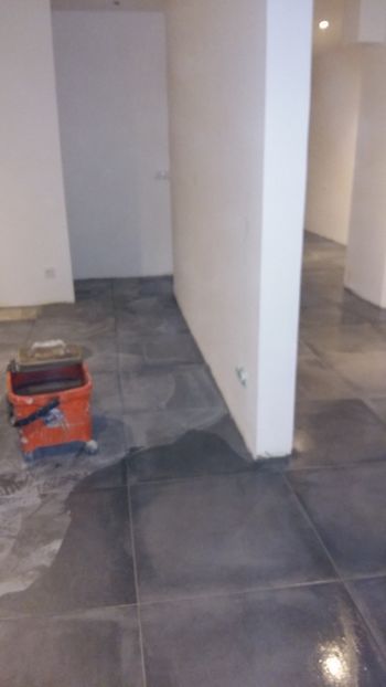  - Lucrari in Lyon 2018