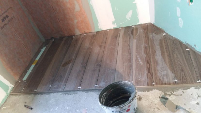  - Lucrari in Lyon 2018