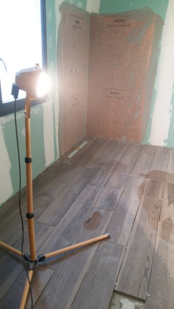  - Lucrari in Lyon 2018