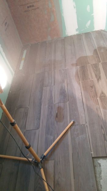  - Lucrari in Lyon 2018