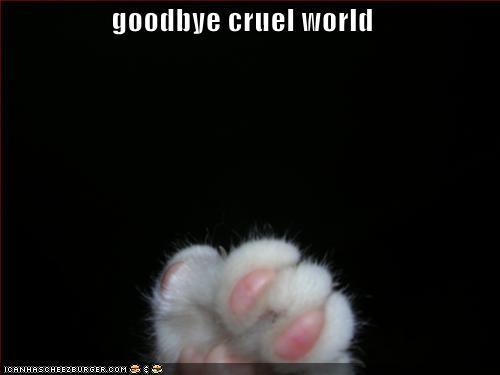 funny-picture-goodbye-cruel-world - Funny