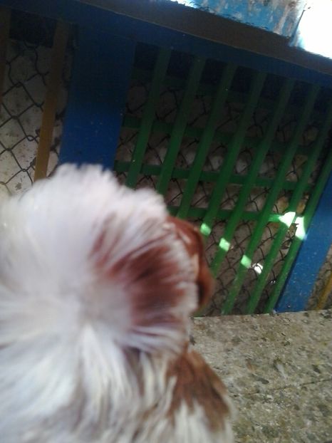 2015-11-04 12.58.23 - GENETICA