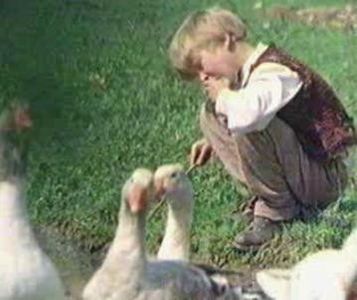 Noi Cei Din Linia Intai - Noi Cei Din Linia Intai 1985