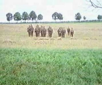 Noi Cei Din Linia Intai - Noi Cei Din Linia Intai 1985