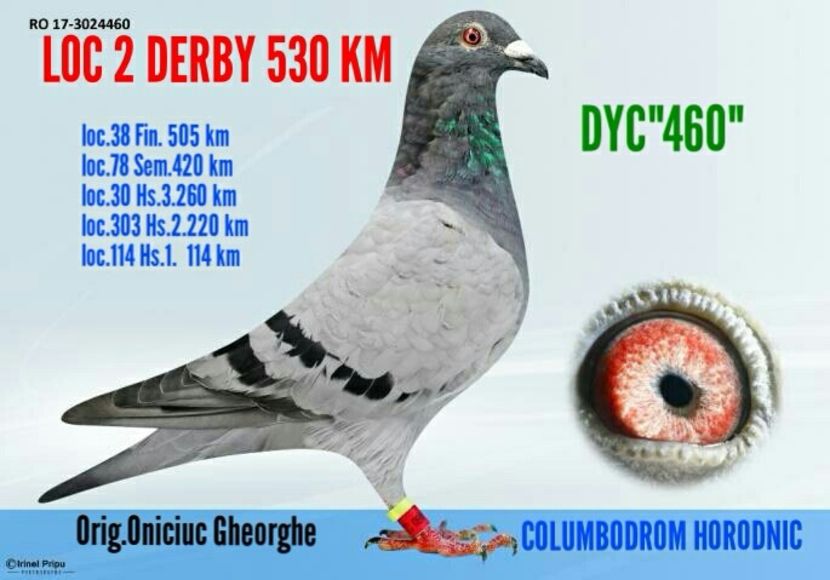 2017-11-03_23.00.30 - Prasila