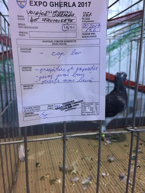 5C4A414B-6954-41B2-B58F-F499C590A5EE - Rezultate expo Gherla