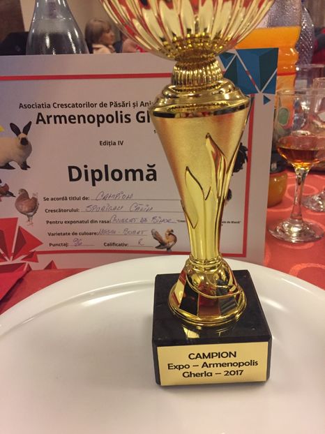 Expo Gherla - 6 CAMPIONII