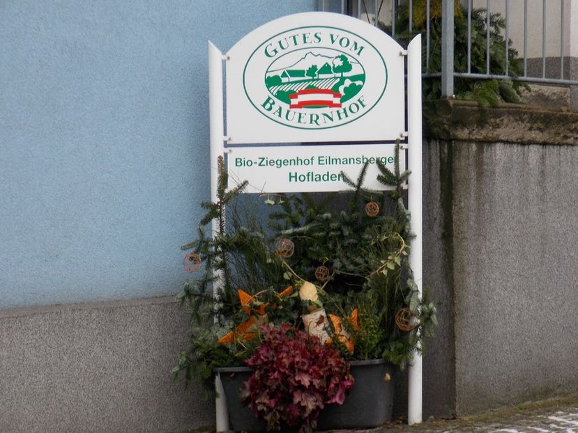  - 2017--SARLEINSBACH AUSTRIA