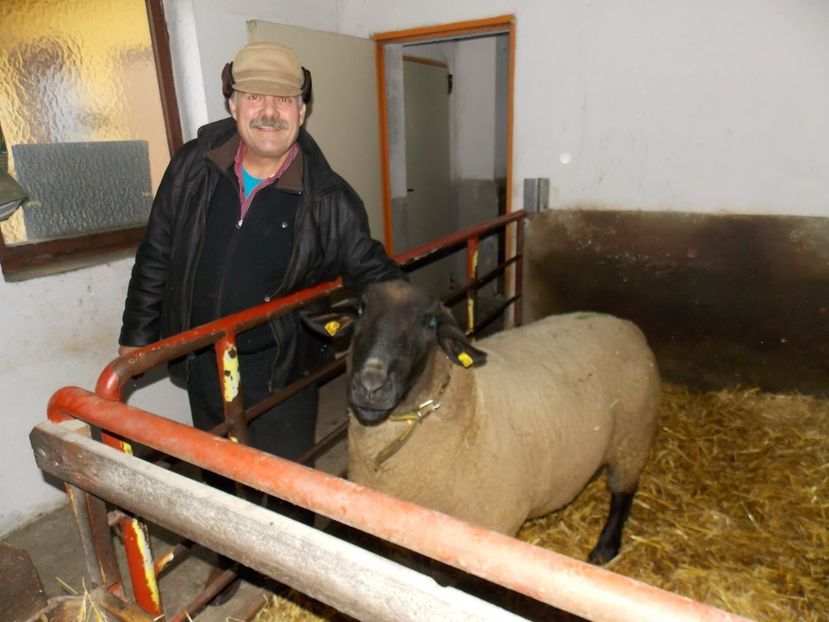  - 2017--SARLEINSBACH AUSTRIA