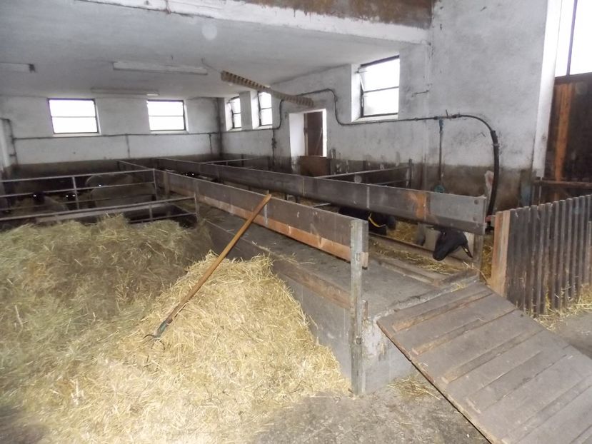  - 2017--SARLEINSBACH AUSTRIA