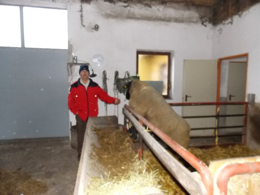  - 2017--SARLEINSBACH AUSTRIA