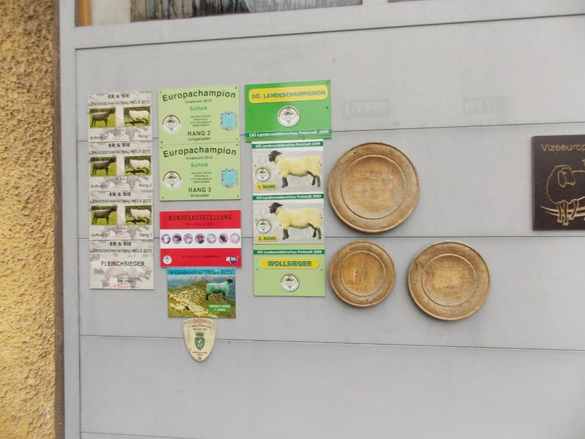  - 2017--SARLEINSBACH AUSTRIA