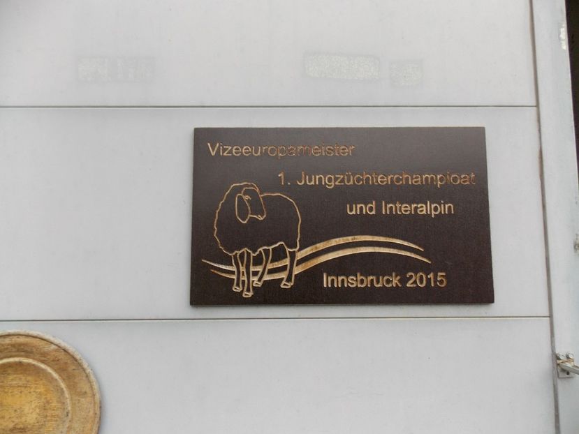  - 2017--SARLEINSBACH AUSTRIA