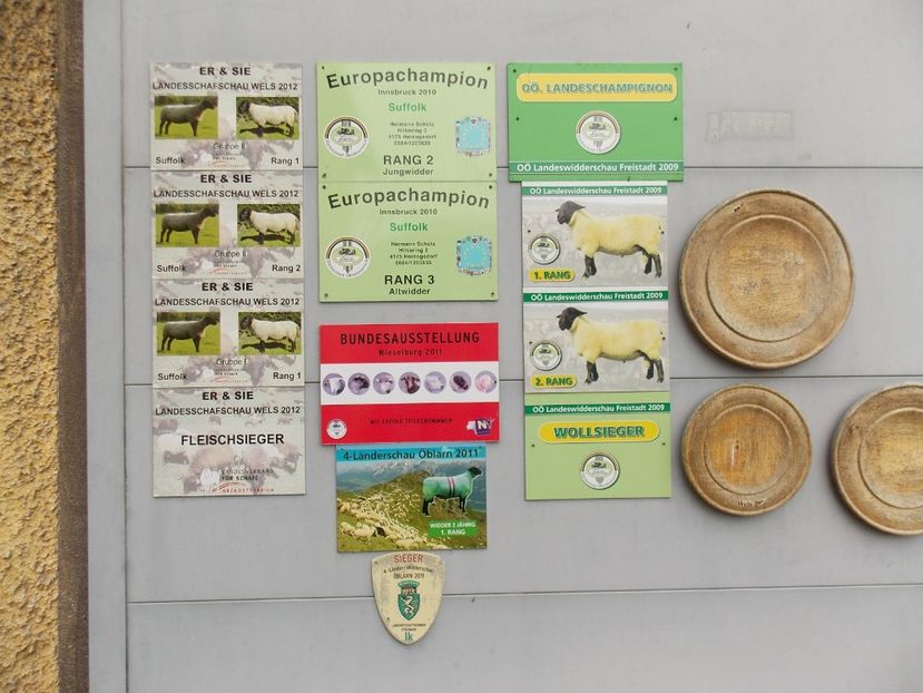  - 2017--SARLEINSBACH AUSTRIA