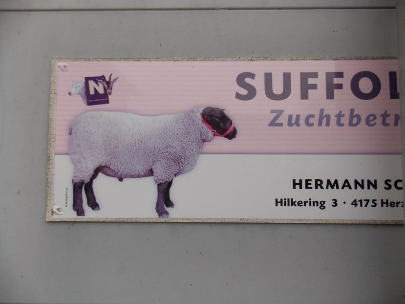  - 2017--SARLEINSBACH AUSTRIA