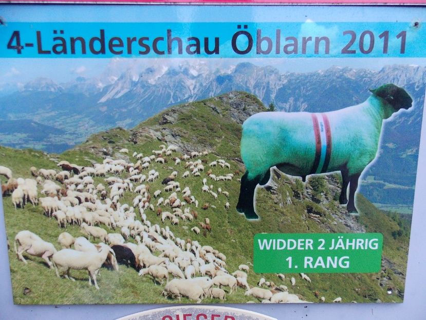  - 2017--SARLEINSBACH AUSTRIA