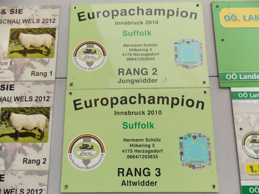  - 2017--SARLEINSBACH AUSTRIA