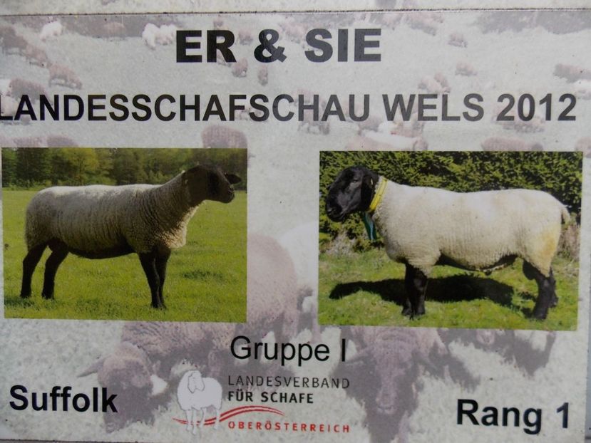  - 2017--SARLEINSBACH AUSTRIA