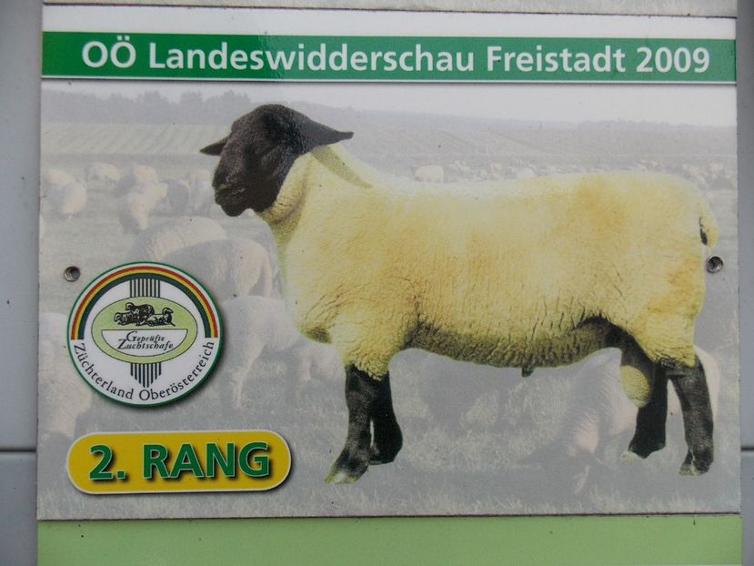  - 2017--SARLEINSBACH AUSTRIA