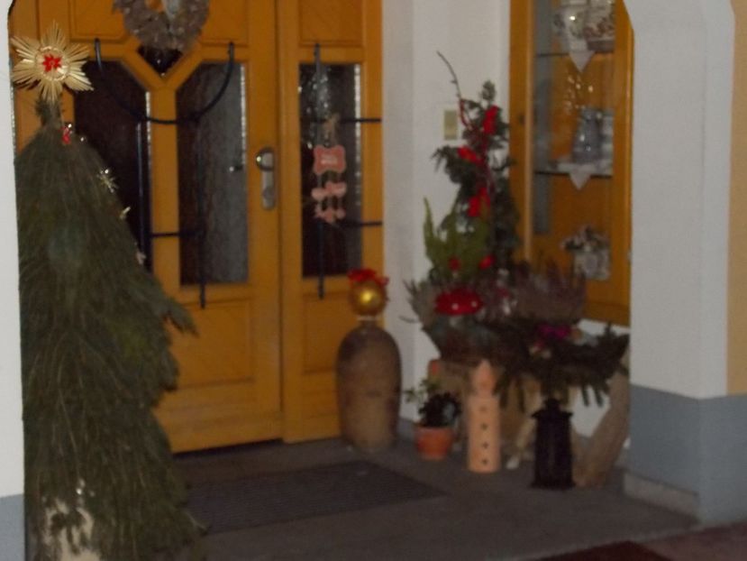  - 2017--SARLEINSBACH AUSTRIA