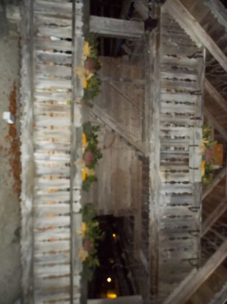  - 2017--SARLEINSBACH AUSTRIA