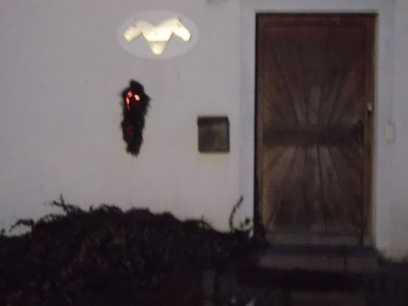  - 2017--SARLEINSBACH AUSTRIA