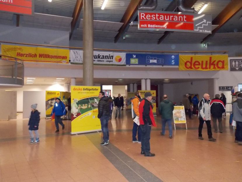  - EXPO-2017- NATIONALA AUSTRIEI WELS