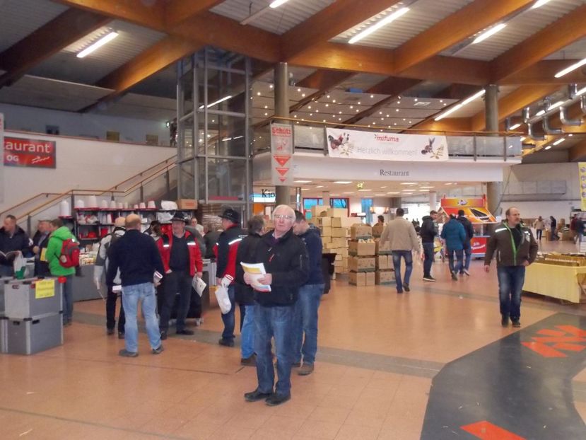  - EXPO-2017- NATIONALA AUSTRIEI WELS