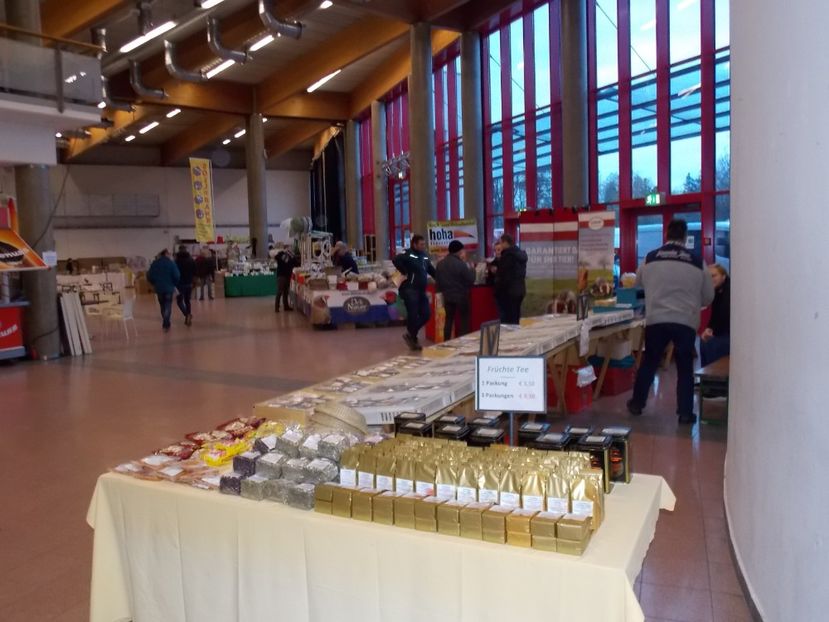  - EXPO-2017- NATIONALA AUSTRIEI WELS