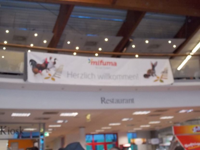  - EXPO-2017- NATIONALA AUSTRIEI WELS