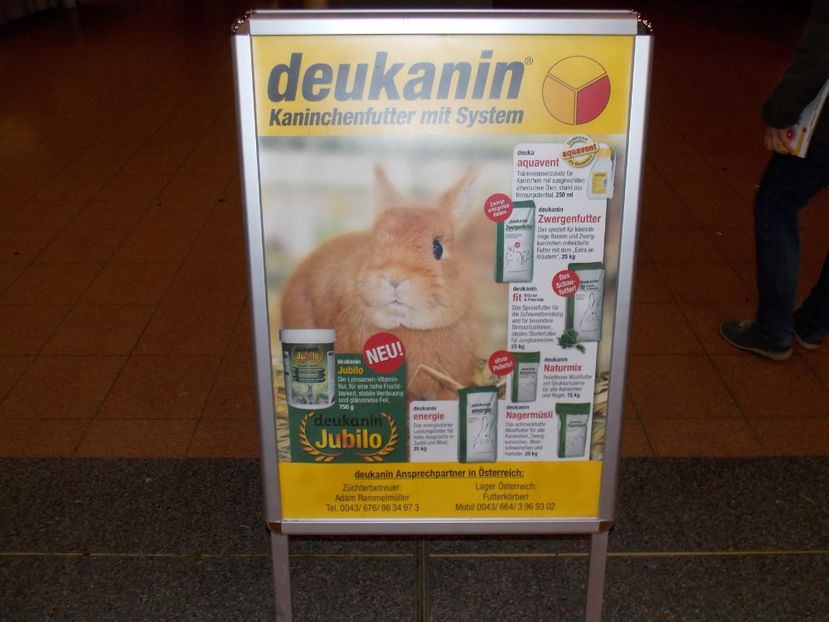  - EXPO-2017- NATIONALA AUSTRIEI WELS