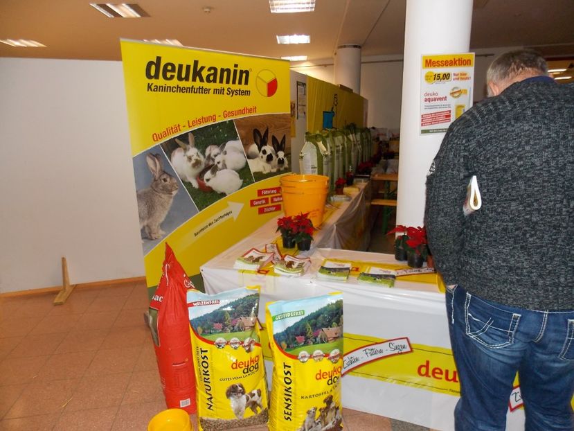  - EXPO-2017- NATIONALA AUSTRIEI WELS