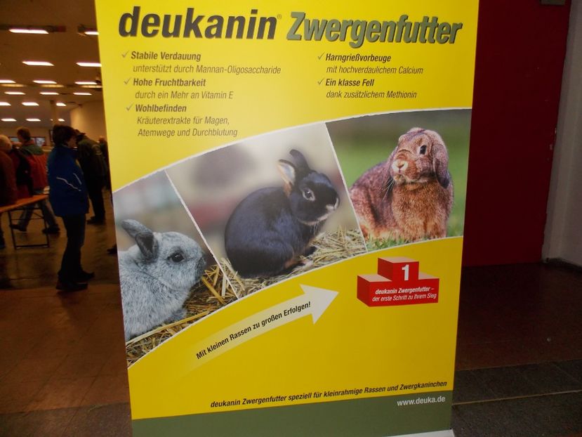  - EXPO-2017- NATIONALA AUSTRIEI WELS