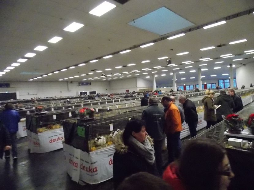  - EXPO-2017- NATIONALA AUSTRIEI WELS