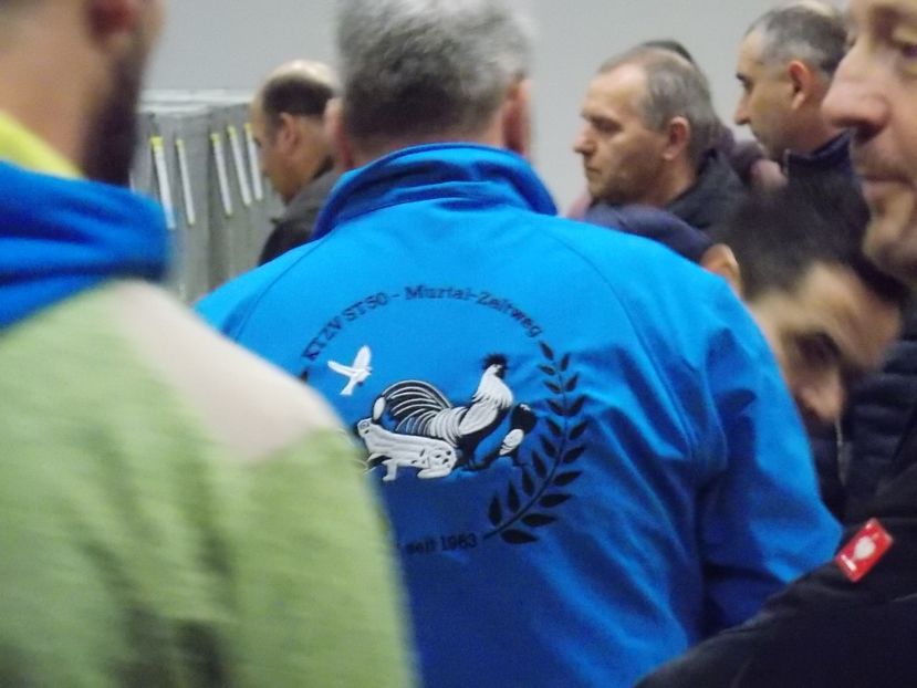  - EXPO-2017- NATIONALA AUSTRIEI WELS