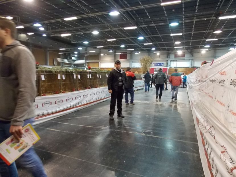  - POZE-EXPO