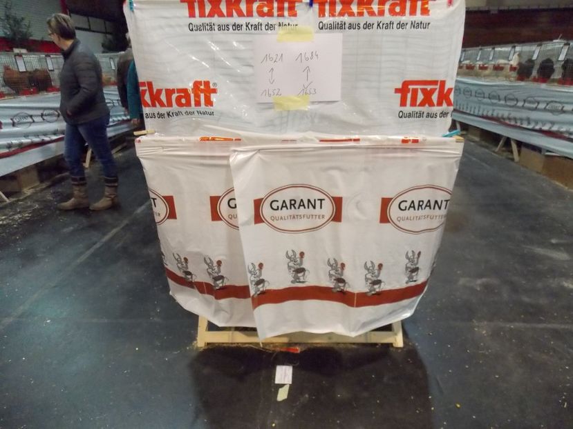  - EXPO-2017- NATIONALA AUSTRIEI WELS