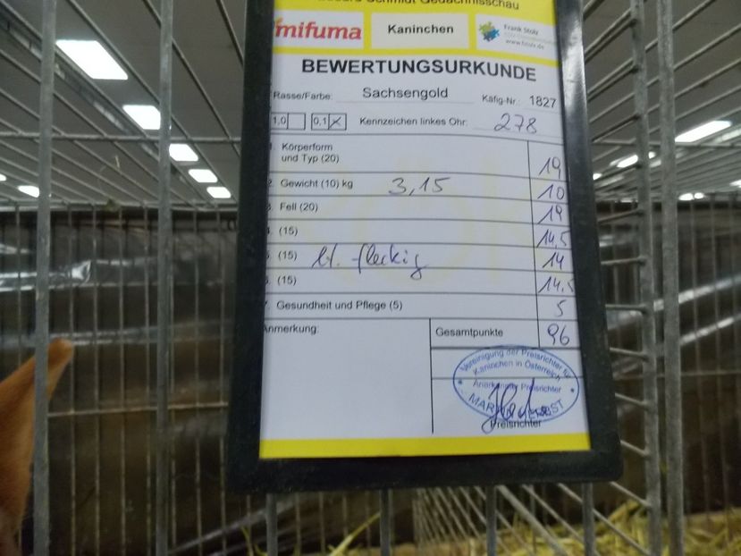  - EXPO-2017- NATIONALA AUSTRIEI WELS